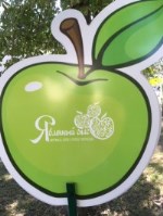 Яблочный спас 2018